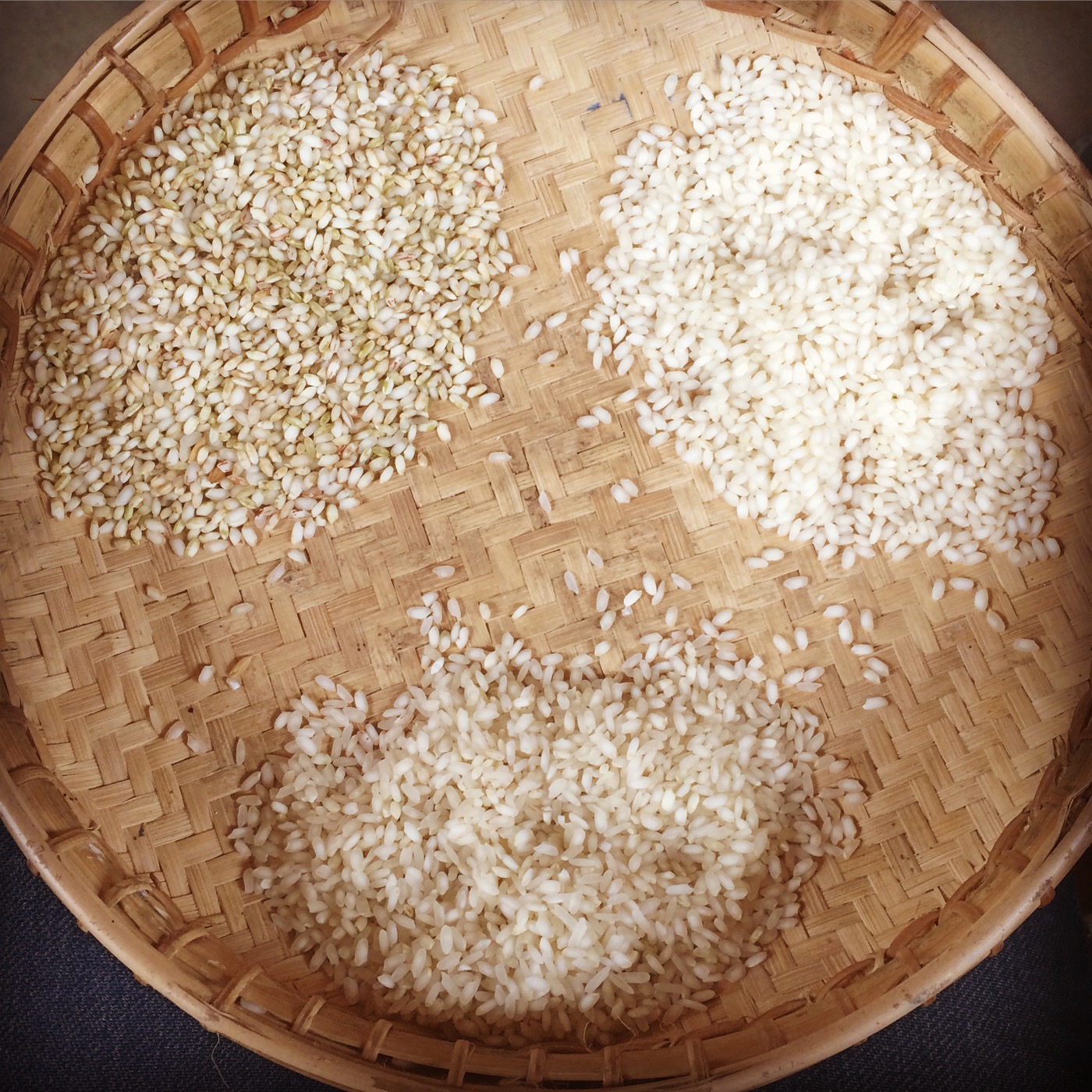 Rice production in Myanmar